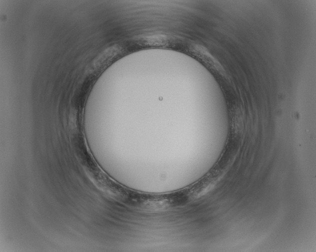 X0000062610213200601181637