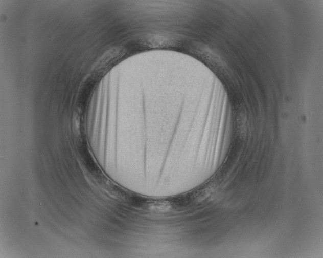 X0000062610214200601181637