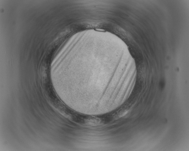 X0000062610215200601181637