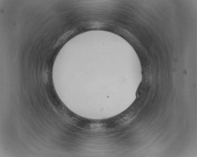 X0000062610216200601181637