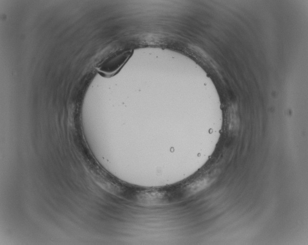 X0000062610217200601181637