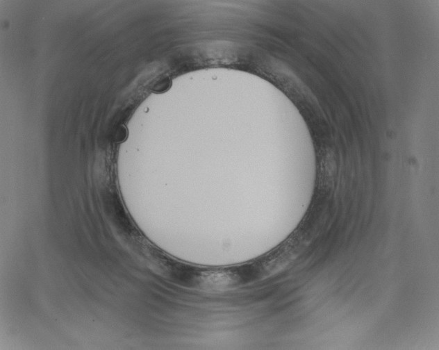 X0000062610218200601181637