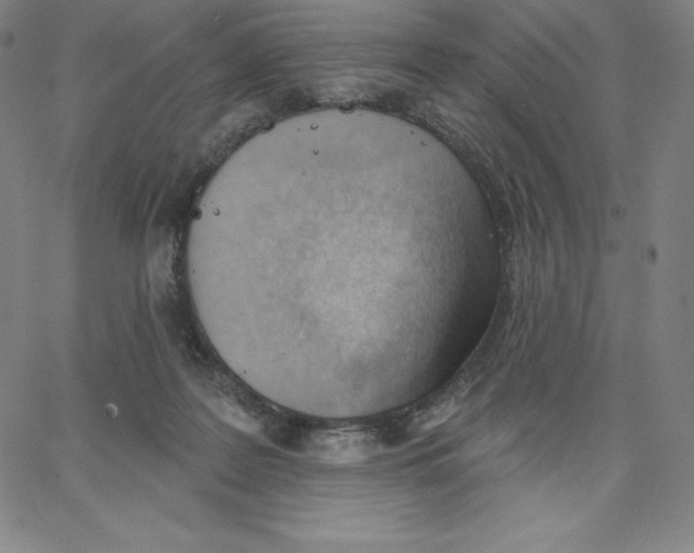 X0000062610219200601181637