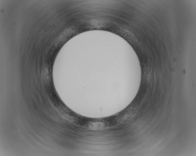 X0000062610220200601181637