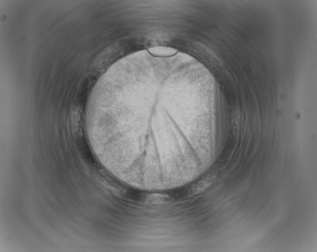 X0000062610222200601181637