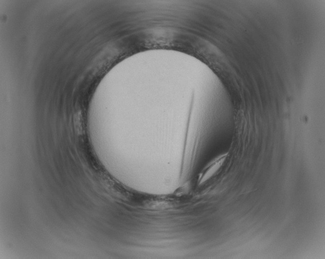 X0000062610224200601181637