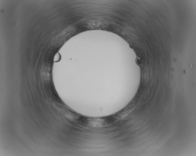 X0000062610226200601181637