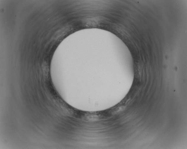 X0000062610228200601181637