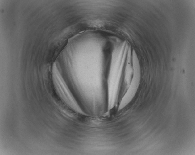 X0000062610229200601181637