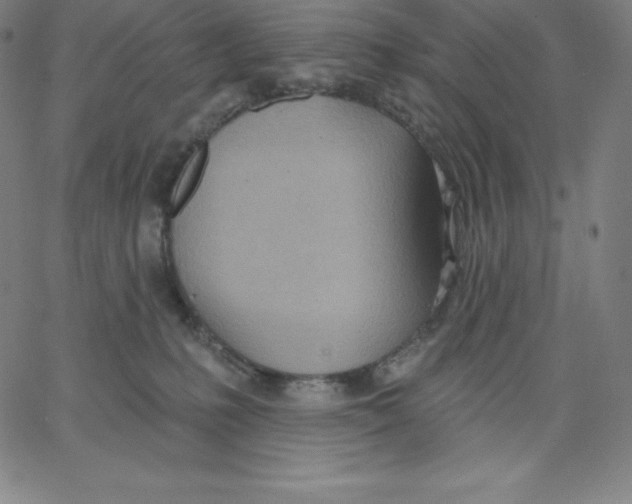 X0000062610231200601181637