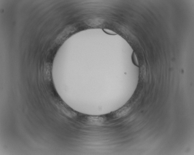 X0000062610234200601181637