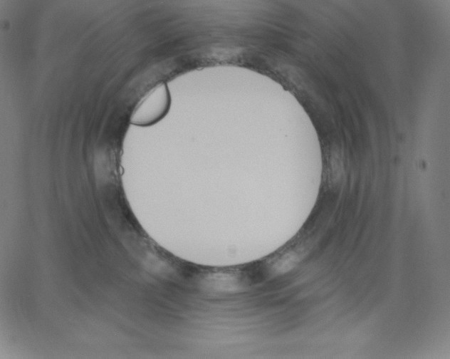 X0000062610236200601181637