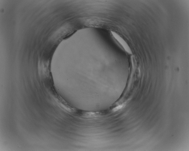 X0000062610239200601181637