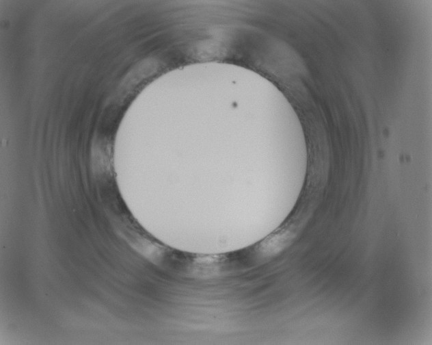 X0000062610240200601181637