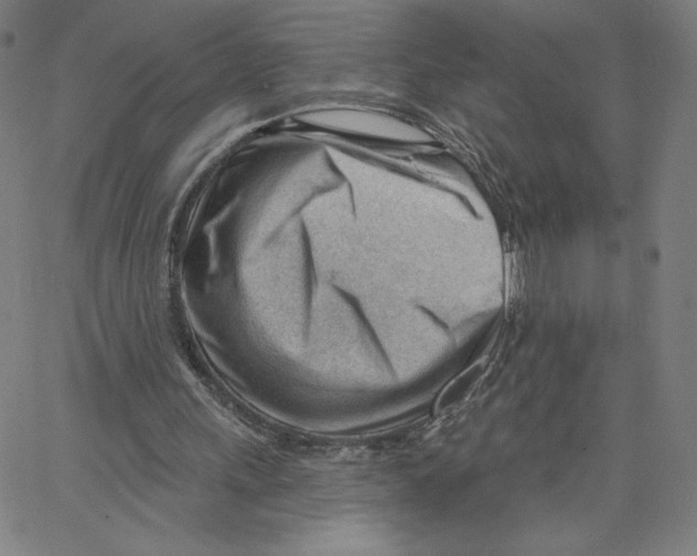 X0000062610243200601181636