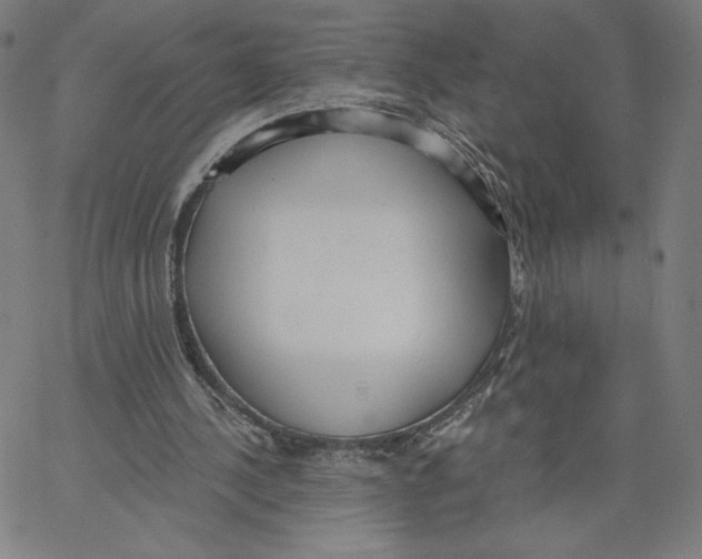 X0000062610244200601181636