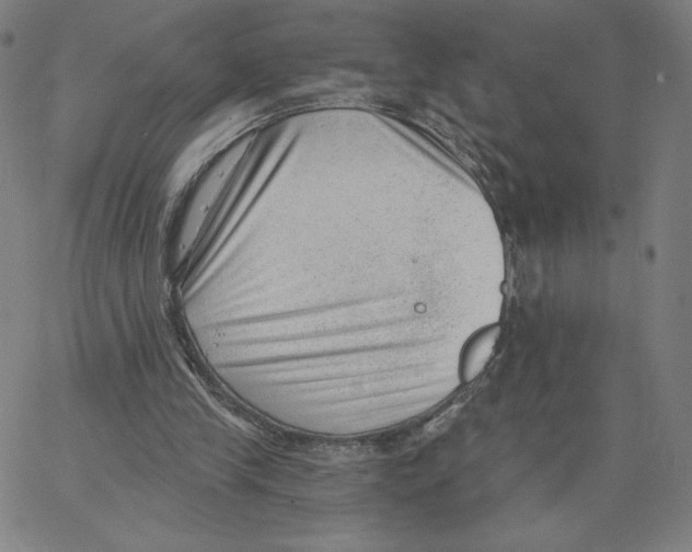 X0000062610245200601181636