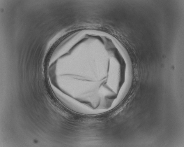 X0000062610246200601181636