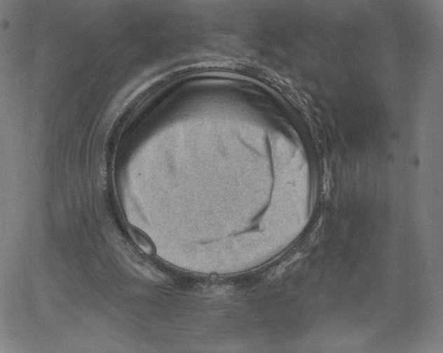 X0000062610247200601181636