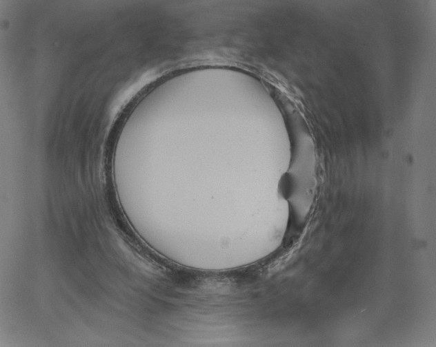 X0000062610248200601181636