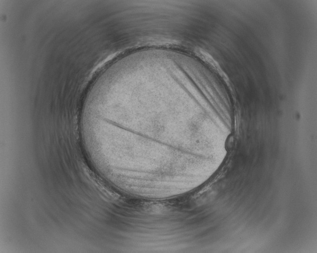 X0000062610249200601181636