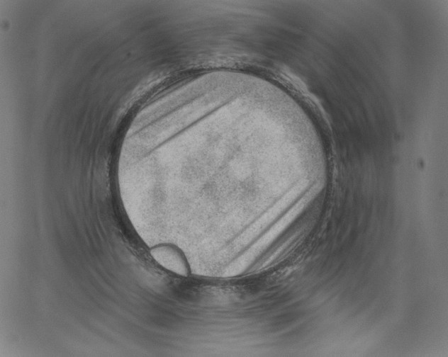 X0000062610250200601181636