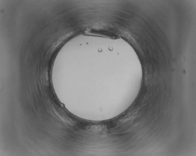 X0000062610251200601181636