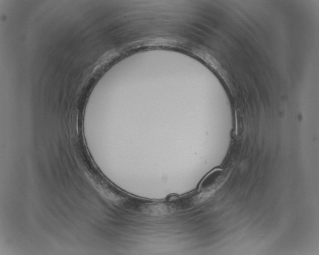 X0000062610253200601181636