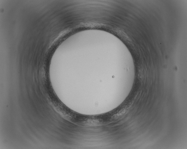 X0000062610256200601181636