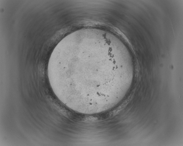 X0000062610257200601181637