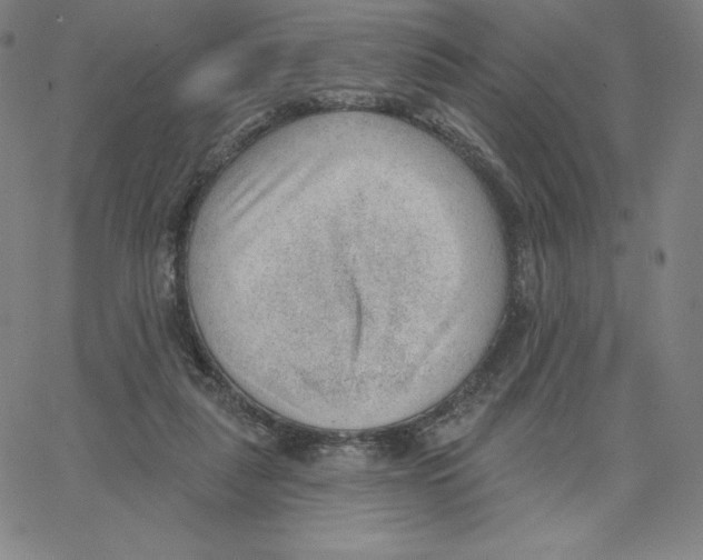 X0000062610259200601181637