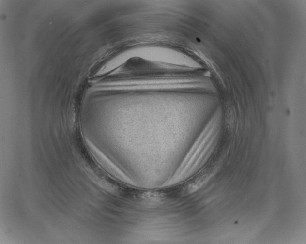 X0000062610261200601181637