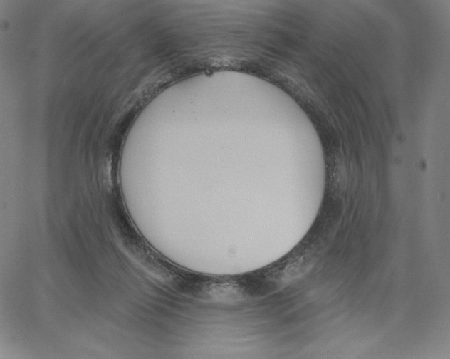 X0000062610262200601181637