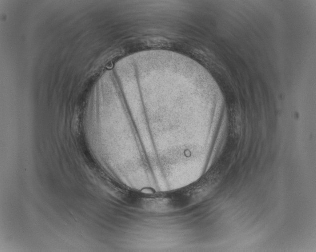 X0000062610266200601181637