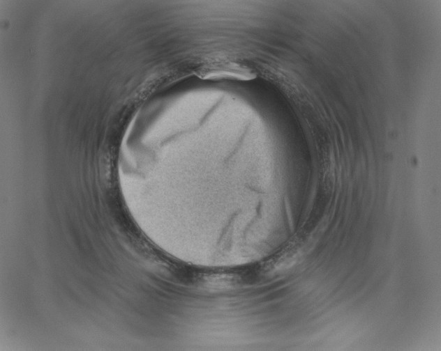 X0000062610268200601181637