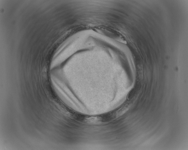 X0000062610269200601181637