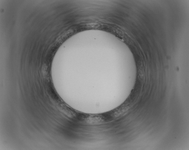 X0000062610270200601181637