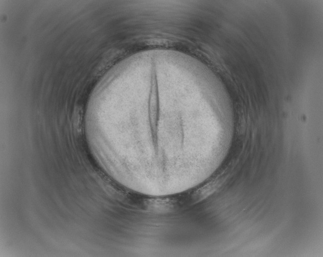 X0000062610273200601181637