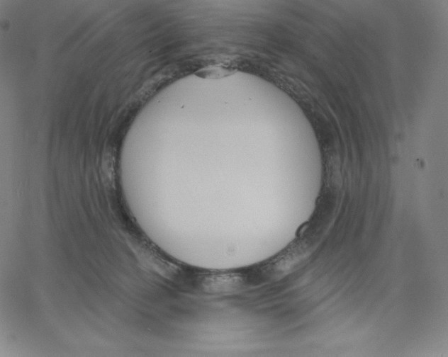 X0000062610274200601181637