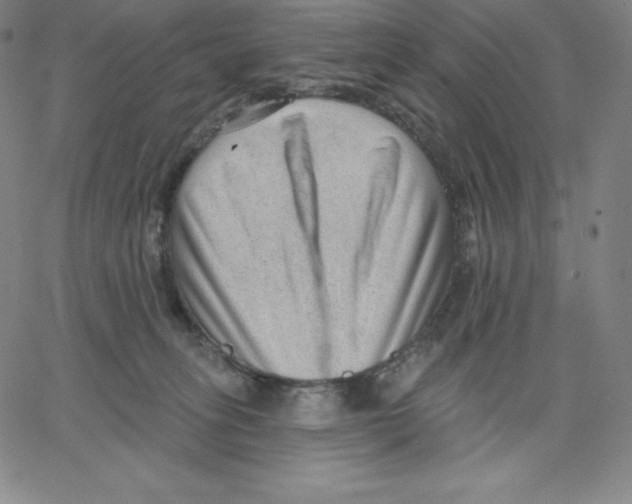 X0000062610275200601181637