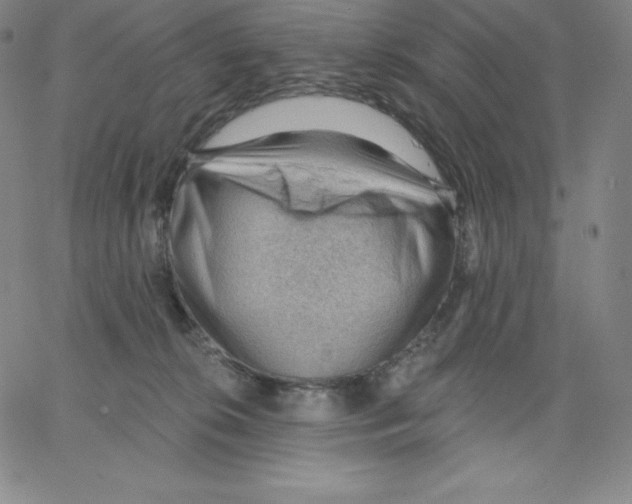 X0000062610276200601181637