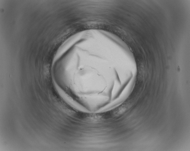 X0000062610278200601181637