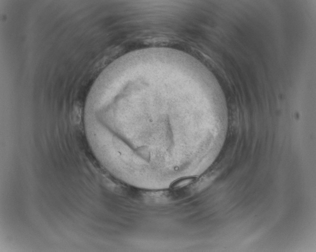 X0000062610281200601181637