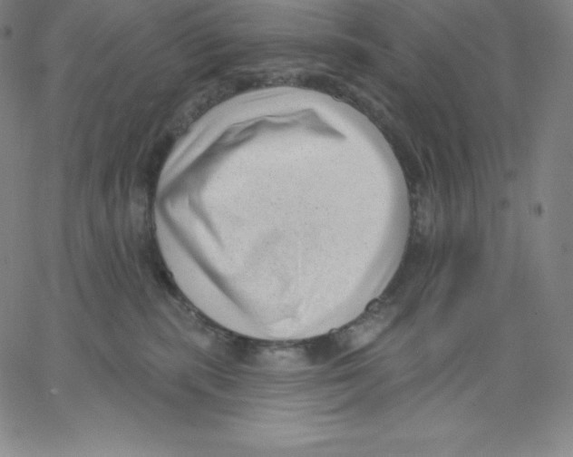 X0000062610283200601181637