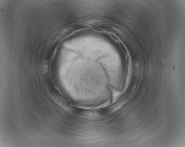 X0000062610284200601181637