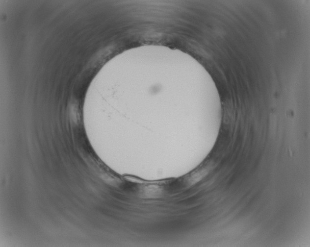 X0000062610287200601181637