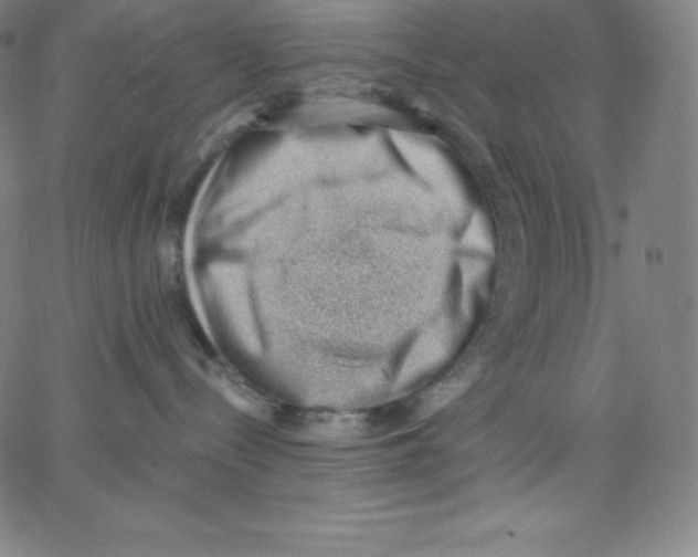 X0000062610288200601181637