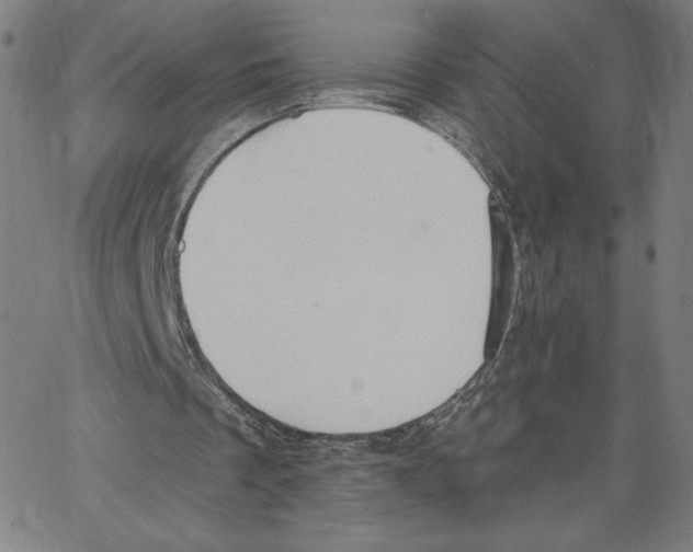 X0000062610289200601181636