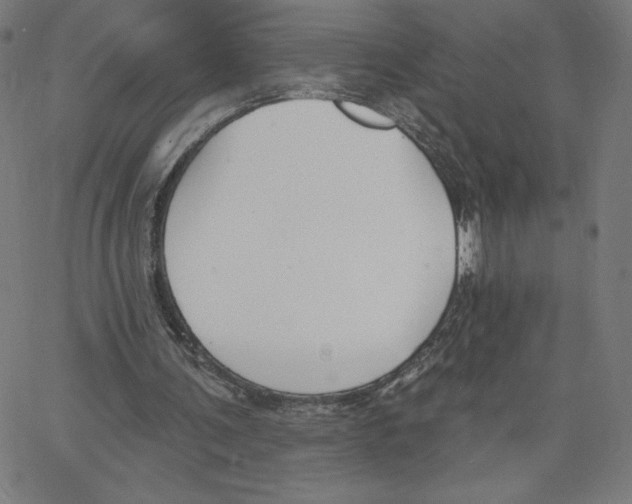 X0000062610291200601181636