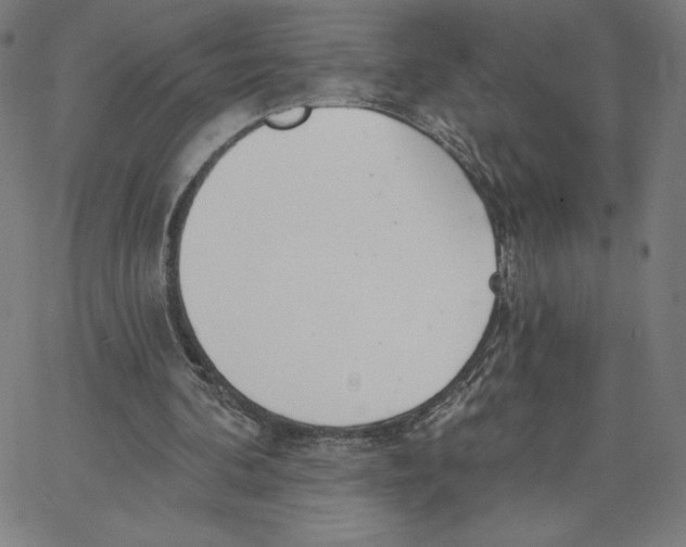 X0000062610292200601181636